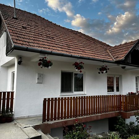 Balazs Vendeghaz Aparthotel Lupeni  ภายนอก รูปภาพ