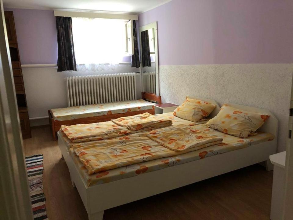 Balazs Vendeghaz Aparthotel Lupeni  ภายนอก รูปภาพ