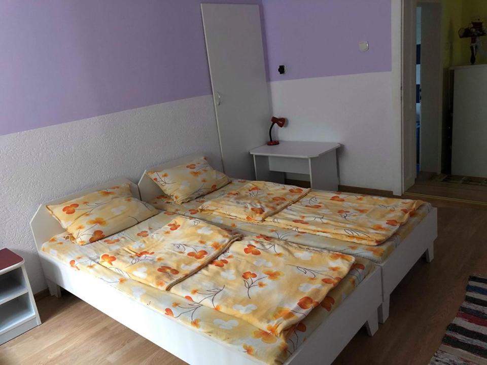 Balazs Vendeghaz Aparthotel Lupeni  ภายนอก รูปภาพ