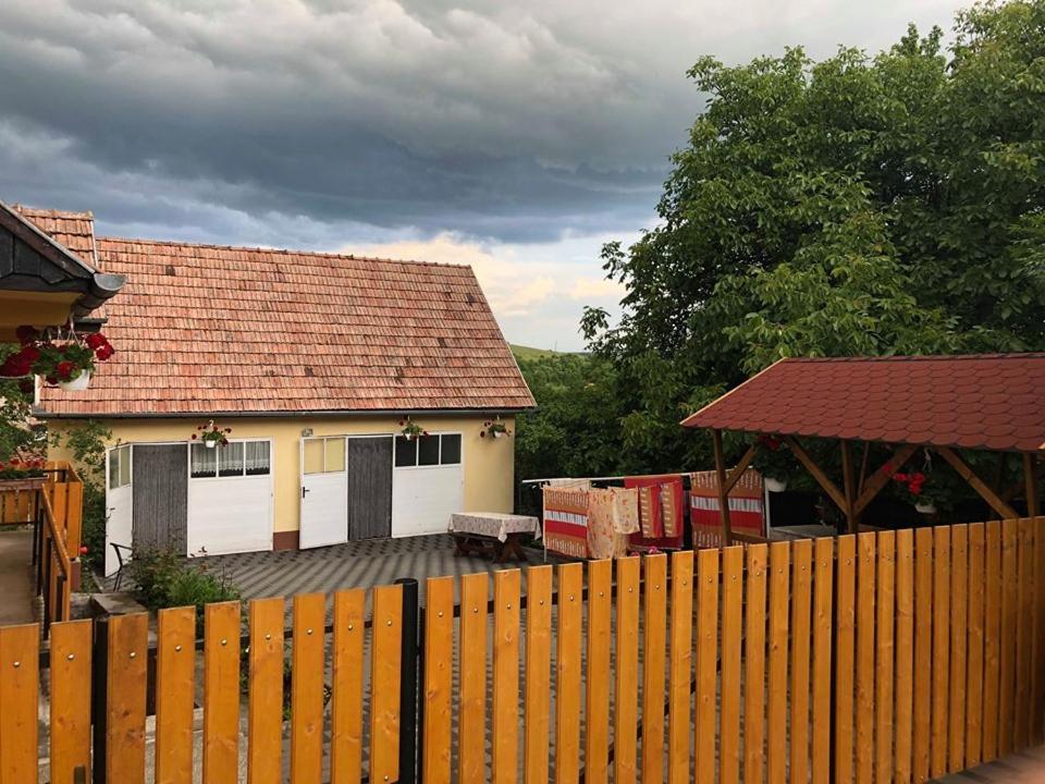 Balazs Vendeghaz Aparthotel Lupeni  ภายนอก รูปภาพ