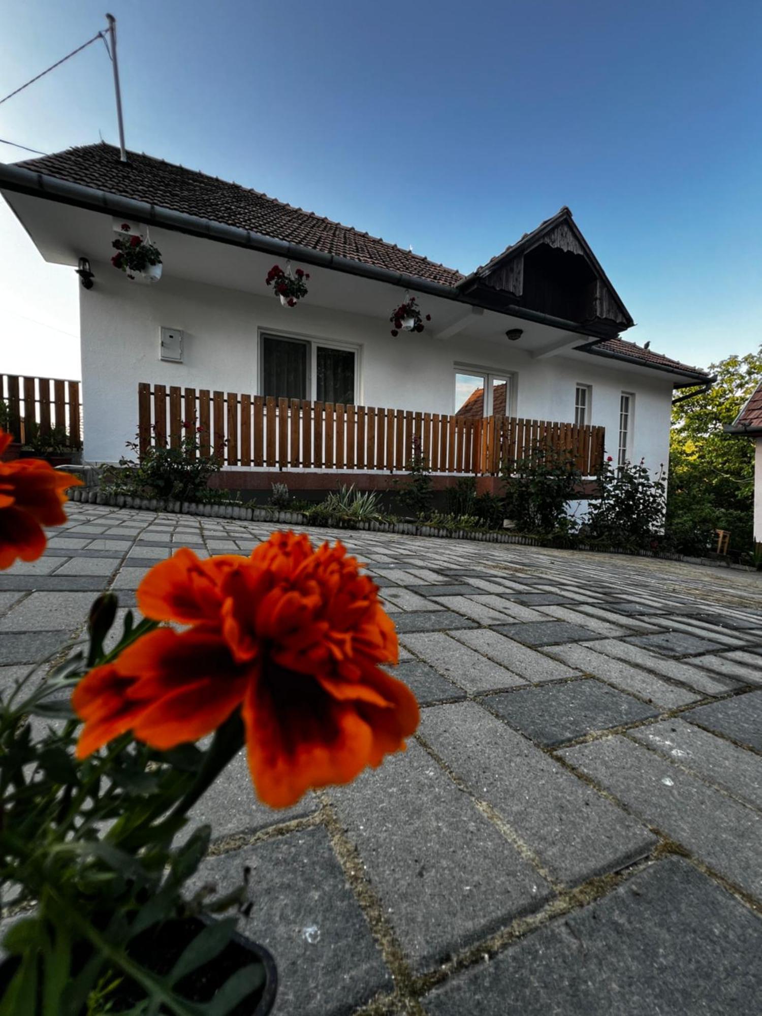 Balazs Vendeghaz Aparthotel Lupeni  ภายนอก รูปภาพ